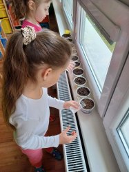 „VODE BOLA DANÁ ČAROVNÁ MOC BYŤ MIAZGOU ŽIVOTA NA ZEMI.“