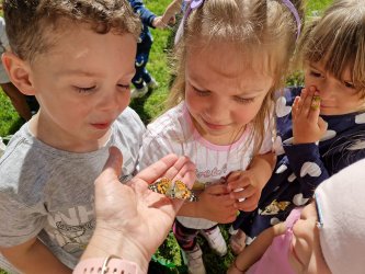 Od húsenice k motýľovi