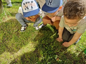 Od húsenice k motýľovi