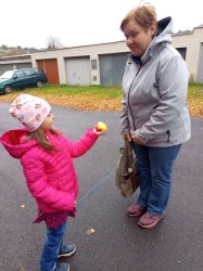  Medzinárodný deň jablka