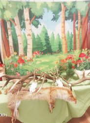 Sviatok svätého Huberta