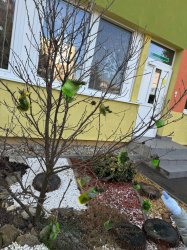 Ľadové kráľovstvo!