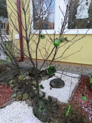 Ľadové kráľovstvo!