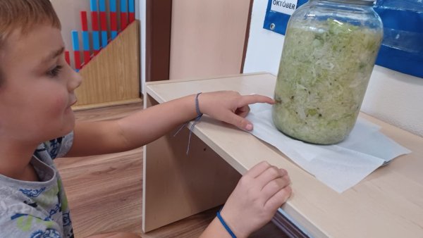 Ovocie a zelenina – učíme sa vlastnými rukami
