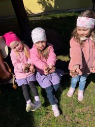 Svetový deň zdravia