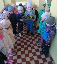 Svetový deň zdravia