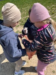 Deň Zeme v našej materskej škole