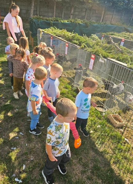 Veselé ušká, farebné pierka a detská radosť: 9. ročník Krupinsko-hontianskej výstavy priniesol zážitky pre najmenších