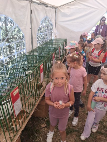Veselé ušká, farebné pierka a detská radosť: 9. ročník Krupinsko-hontianskej výstavy priniesol zážitky pre najmenších